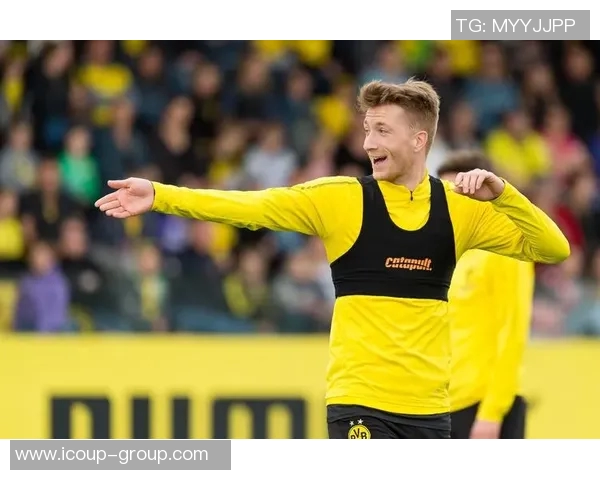 多特蒙德新帅，扭转颓势，重现辉煌！