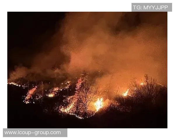 森林狼队遭遇多伤，季后赛希望渺茫